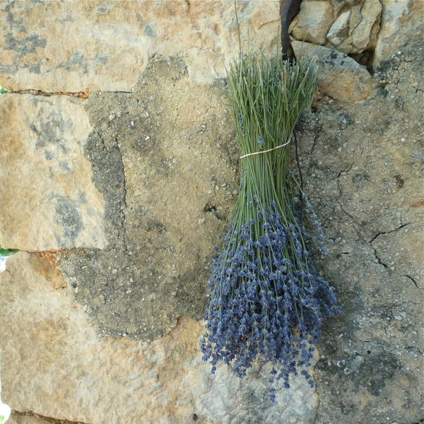 Dried Lavender Bunch