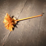 Feather Duster