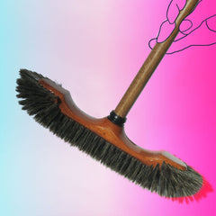 French Broom