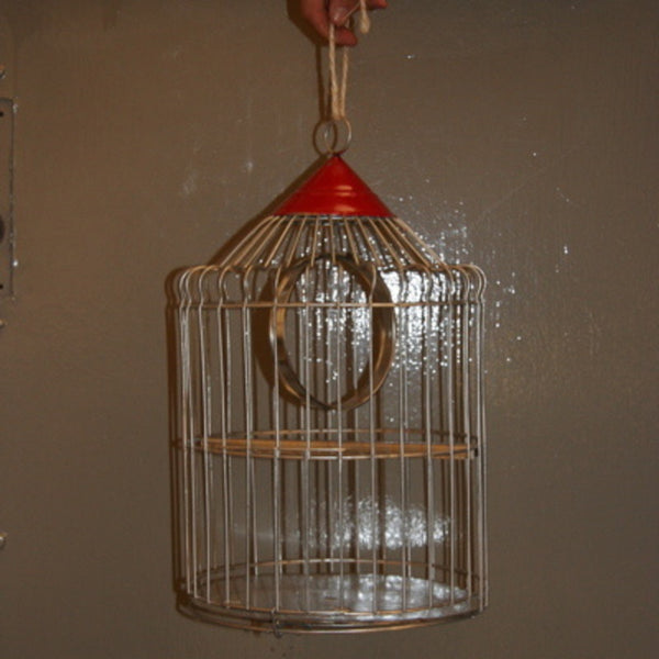 Metal Wire Birdcage