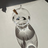 Glass Fly Catcher