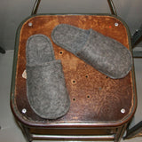 Wool Felt Slippers