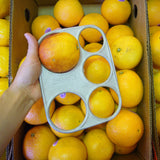 Citrus Sizing Plate