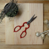 Kitchen Scissors