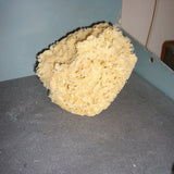 Wool Sponge